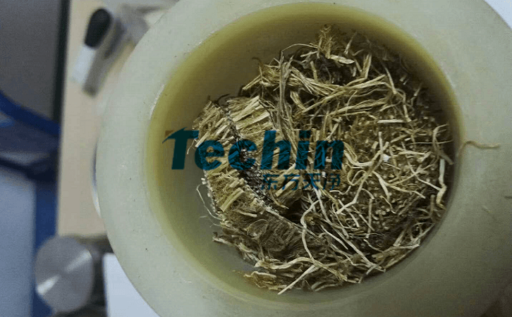 水稻根麻豆AV无码观看前