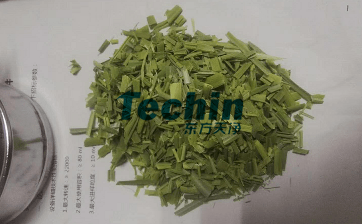 水稻葉子麻豆AV无码观看前