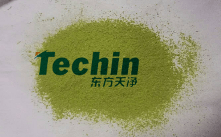 麻豆AV无码观看後的植物葉片